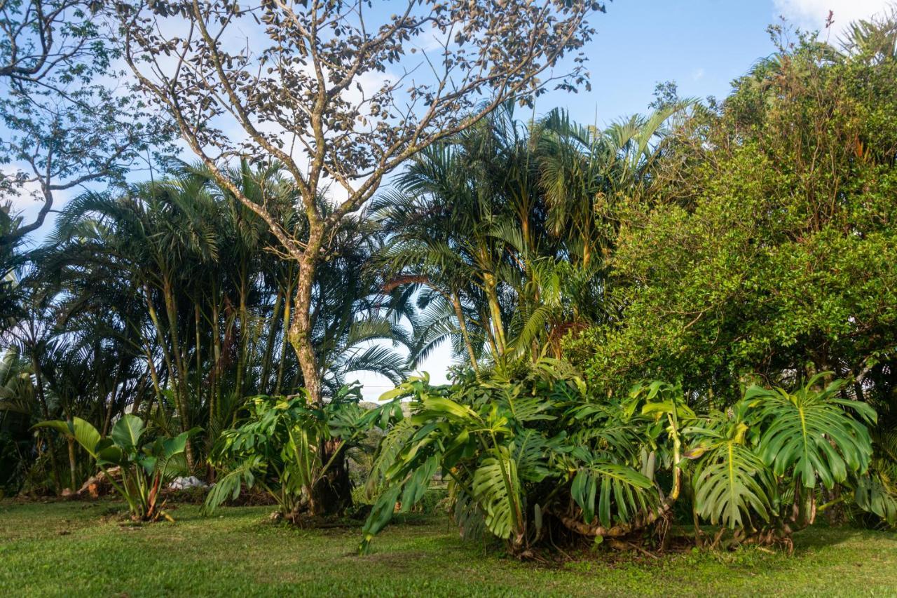 Vista Lago Arenal Piedras Exterior photo