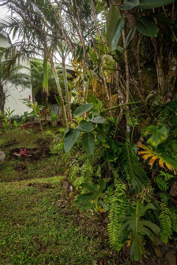 Vista Lago Arenal Piedras Exterior photo